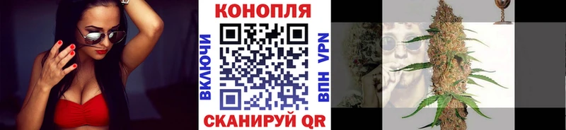 Канабис семена  Енисейск 